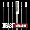 Stainless Steel Skewers Set - Flat Blade and Reusable - BEAST Impalerz